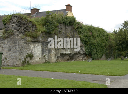 North Wall Stadt Wände Limerick City Co Limerick Www Osheaphotography com Stockfoto