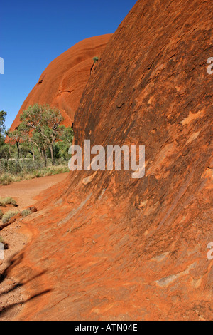 Der kreisförmige Wanderweg rund um den berühmten Ayers Rock Uluru Nationalpark in der Wüste Outback Australien Stockfoto