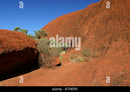 Beliebte kreisförmige Wanderweg rund um den berühmten Ayers Rock Uluru in der Wüste Outback Australien Stockfoto