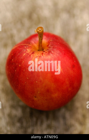 Einzelne rote Apfel Stockfoto