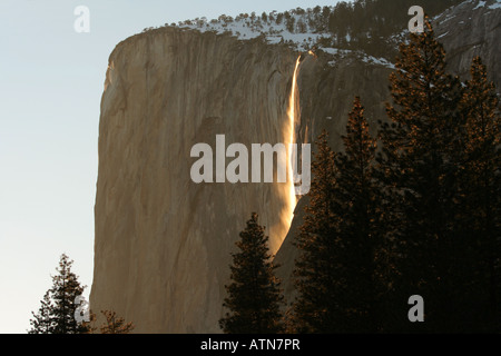 Schachtelhalm Wasserfälle im Yosemite-Nationalpark bei Sonnenuntergang hervorgehoben. Dieses Phänomen tritt nur für ca. zwei Wochen im Winter. Stockfoto