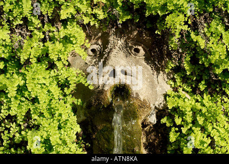 Villa d ' Este Tivoli Italien Stockfoto