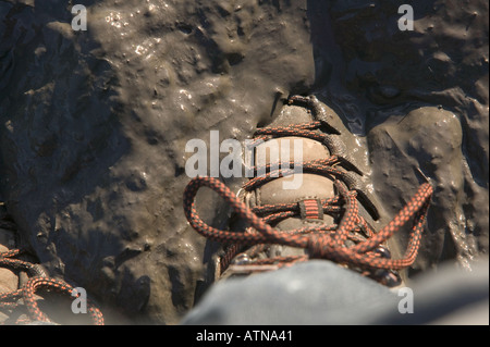 Stiefel im Schlamm stecken Stockfoto