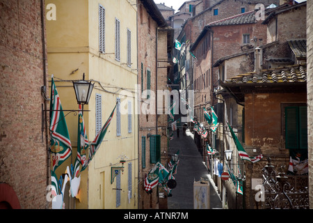 Flaggen der Sieger des Palio di Siena - Oca Bezirk - Siena Palio-Pferderennen - Siena - Toskana - Italien Stockfoto