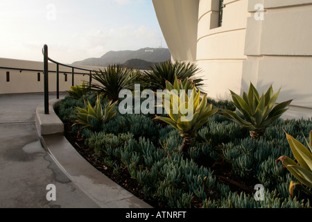 Griffith Observatory, Los Angeles Stockfoto