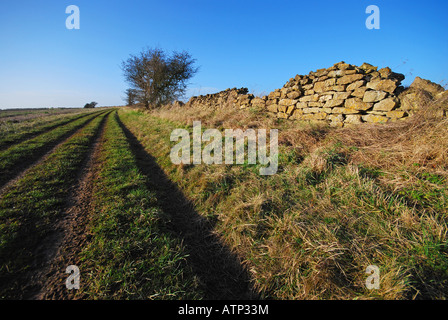 Eine Trockenmauer (auch bekannt als eine Trockenstein Deich, Drystane Deich, Trockenstein Hecke oder Stein Zaun) in Lincolnshire, England. Stockfoto