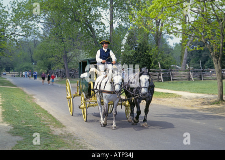 Eine Pferdekutsche nimmt Besucher mit auf Führungen durch die Straßen und der Architektur des alten Colonial Williamsburg Stockfoto