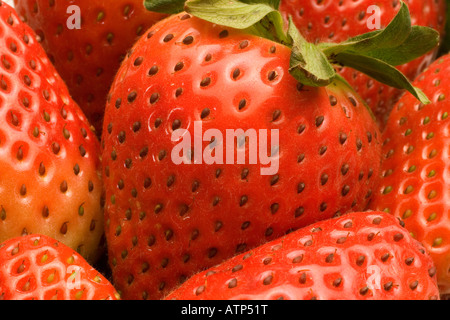 Close up image of fresh ripe strawberries Stockfoto