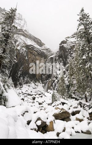 Lower Yosemite Falls umgeben von weiß nach starkem Schneefall. Stockfoto