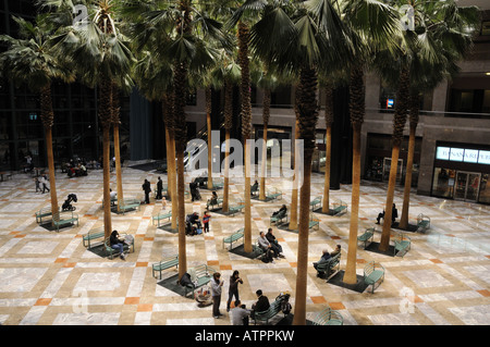 Der Wintergarten des World Financial Centers in Battery Park City, Manhattan. Stockfoto