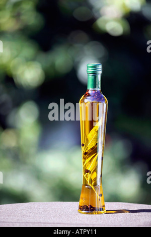 Flasche mit Kräuteröl / aufbewahrt Mit Kraeuteroel Stockfoto