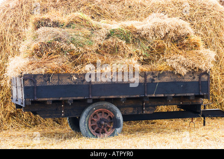 zwei Rädern Heuwagen vor Heuhaufen Stockfoto