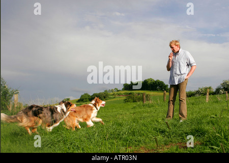 Mann mit Australian Shepherd Stockfoto