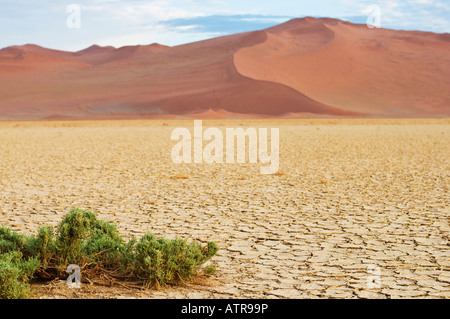 Die Sousouvlei Dünen in Namibia Afrika Stockfoto