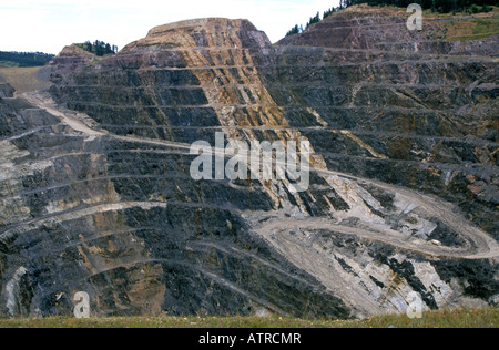 Dies ist eine große Tagebau Gold und Silber mein Gilt Edge mir genannt und befindet sich in der Nähe von Totholz in den Black Hills Stockfoto
