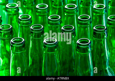 Grüne bereit für das recycling leere Bierflaschen Stockfoto