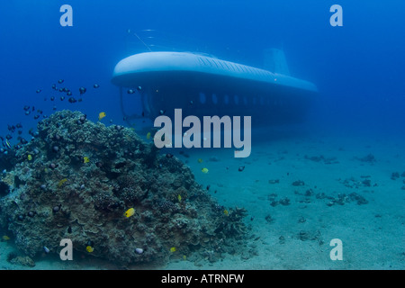 Das u-Boot Atlantis ist ein kleines Riff vor der Küste von Maui, Hawaii erkunden. Stockfoto