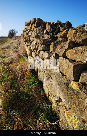 Eine Trockenmauer (auch bekannt als eine Trockenstein Deich, Drystane Deich, Trockenstein Hecke oder Stein Zaun) in Lincolnshire, England. Stockfoto