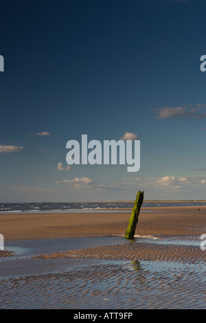 Holzpfosten in den Sand am Strand von Norfolk Stockfoto