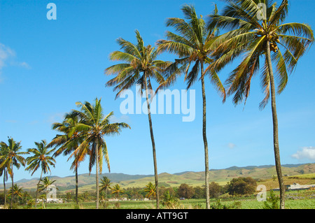 Landschaft in der Nähe von Rivière des Galets in Mauritius Mauritius Südinsel Stockfoto