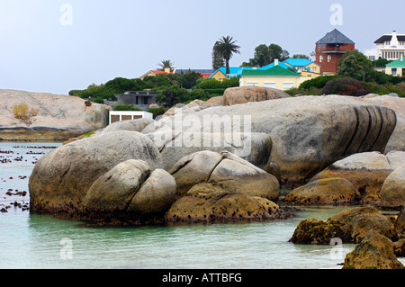 Boulders Beach in der Nähe von Simons Town, Western Cape Province, Südafrika Stockfoto