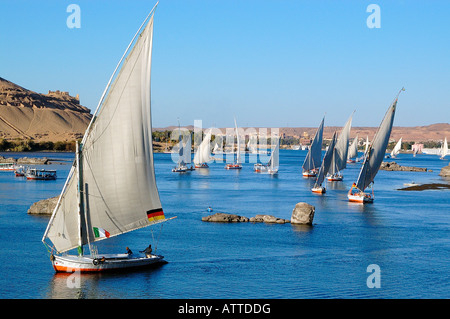 Viele Feluccas oder segeln Boote, Segeln auf der exotischen Nil unter Touristen ab und zu von Kitchener Insel, Assuan, Ägypten Stockfoto