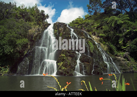 Owharoa Falls in der Karangahake-Schlucht, Neuseeland Stockfoto