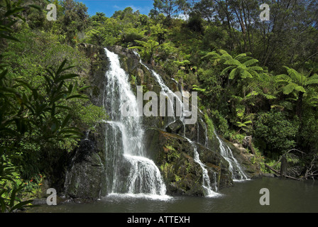 Owharoa Falls in der Karangahake-Schlucht, Neuseeland Stockfoto