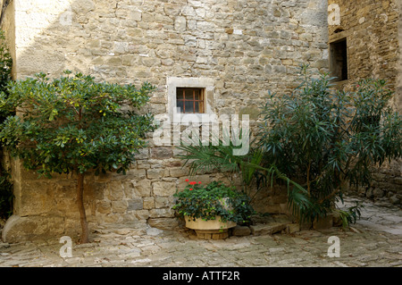 Groznjan Istrien Kroatien Stockfoto