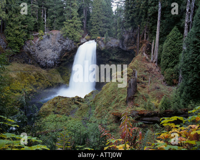 Herbstlaub Grenze die McKenzie River und schöne Shahalie fällt entlang der McKenzie River Scenic Byway Stockfoto