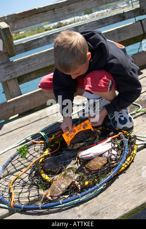 Junge auf einem Pier Hundegang Stockfoto