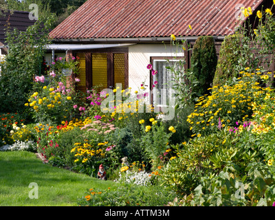 Orange kegel Blumen (Rudbeckia fulgida), Tagetes (Tagetes), Phlox (Phlox) und Rosen (Rosa) Stockfoto