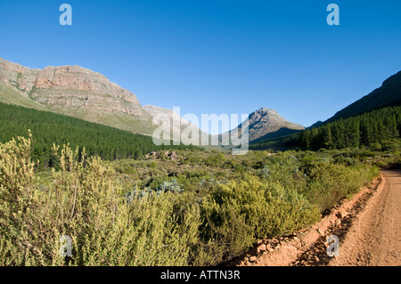 Die Cederberg Wilderness Area im Western Cape in Südafrika Stockfoto