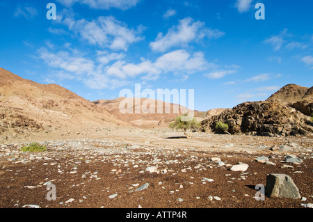 Ai Ais Richtersveld Transfrontier National Park vulkanischen Felsen und Berge Stockfoto