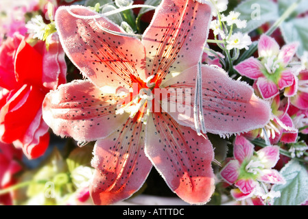 Frost bedeckt rote künstliche Blume Stockfoto