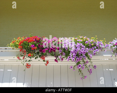 Österreichischen Balkon mit hängenden Körben Stockfoto