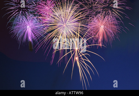 Feuerwerk gegen nächtlichen Himmel Stockfoto