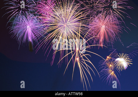 Feuerwerk gegen nächtlichen Himmel Stockfoto