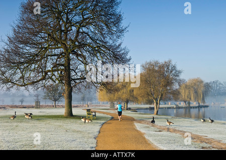 Junge Frau in Bushy Park Joggen am Morgen Richmond upon Thames größere London England UK Stockfoto
