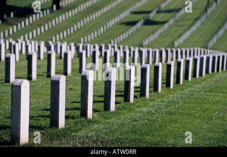 Grabsteine blaue Sterne Memorial San Francisco Kalifornien USA April 2007 Stockfoto