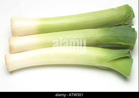 frische Zwiebel Lauch gereinigt und gestutzt weißes Studio-Hintergrund Stockfoto