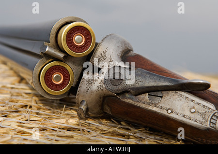 Webley und Scott 12 Gauge nebeneinander Schrotflinte mit B P Itailian 2 1 / 2 Zoll Schrotpatronen Stockfoto