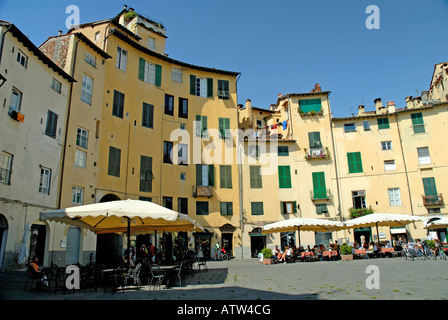 Lucca Piazza Dell Anfiteatro Amphitheater Lucca Toskana Italien Stockfoto