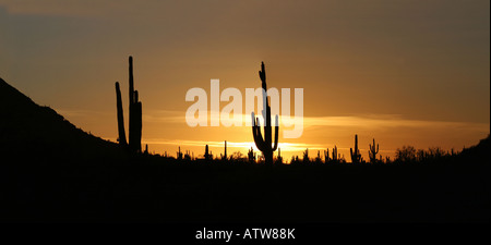 Ein schöner Sonnenuntergang fotografiert in der Sonora-Wüste etwa 40 Meilen nördlich von Tucson, Arizona, USA Stockfoto