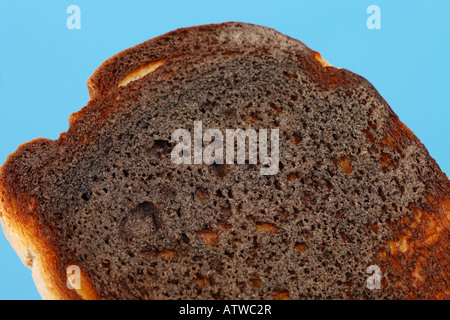 Scheibe von verbranntem Toast Frühstück Essen snack Stockfoto