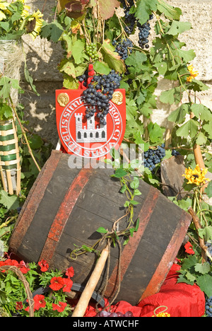 Sopron, Westtransdanubien, Ungarn. Anzeige von Trauben und Weinbau während Volksfest in Fo Ter (Stadt Hauptplatz) Stockfoto
