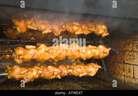 Mexiko Guanajuato ganze Hähnchen am Drehspieß Holz gebrannte Ziegel Backofen Dampf steigt fangen viele auf Spieße Geflügel Fett Auffangschale Stockfoto