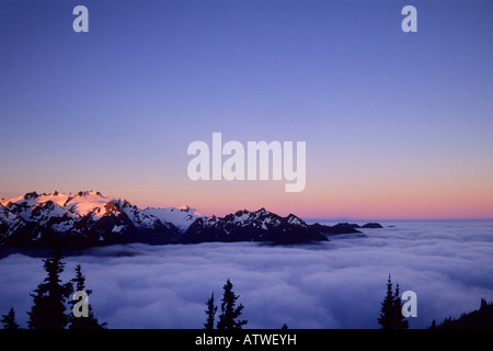 Sonnenaufgang über den Olymp und Hoh River Valley, Olympic Nationalpark, Washington State Stockfoto