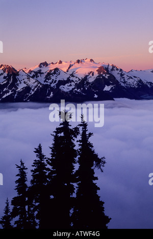 Sonnenaufgang über den Olymp und Hoh River Valley, Olympic Nationalpark, Washington State Stockfoto