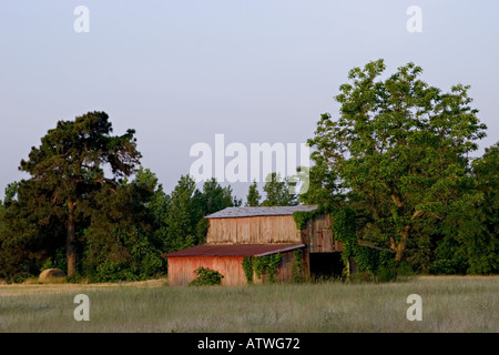 verblasste rote Scheune Stockfoto